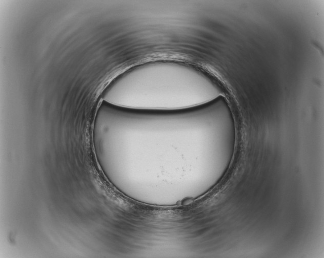 X0000102791025200808180949