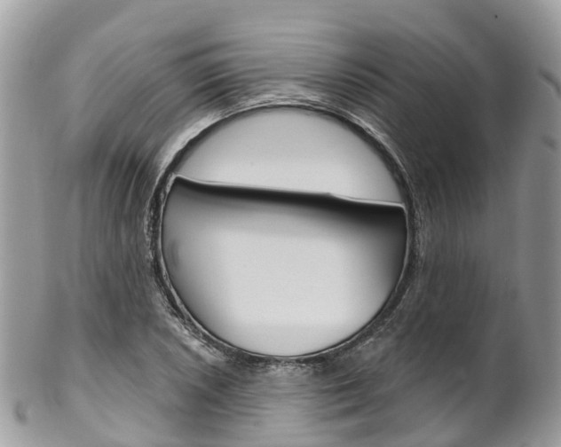 X0000102791026200808180949