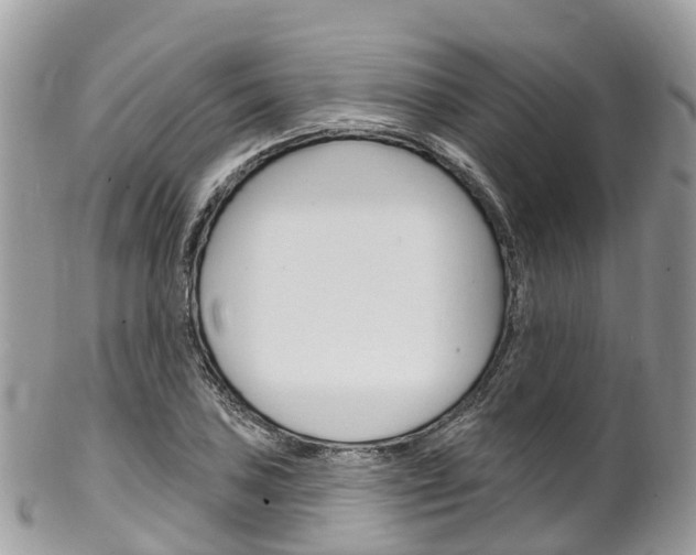 X0000102791027200808180949