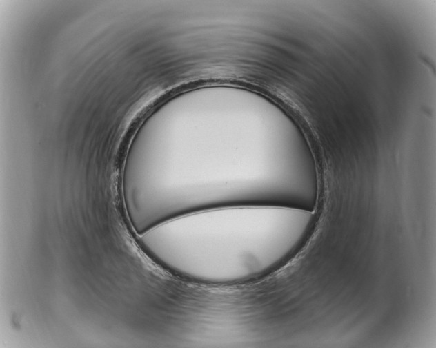 X0000102791029200808180949