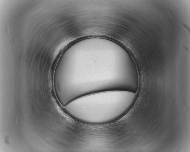 X0000102791030200808180949