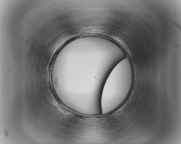 X0000102791031200808180949