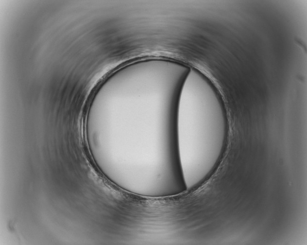 X0000102791032200808180949