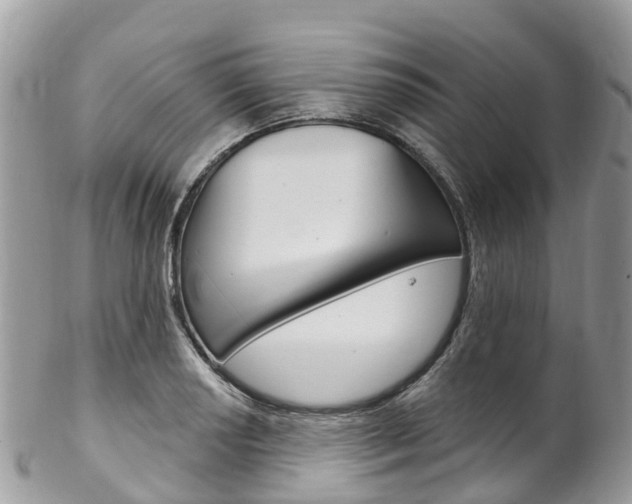 X0000102791034200808180949