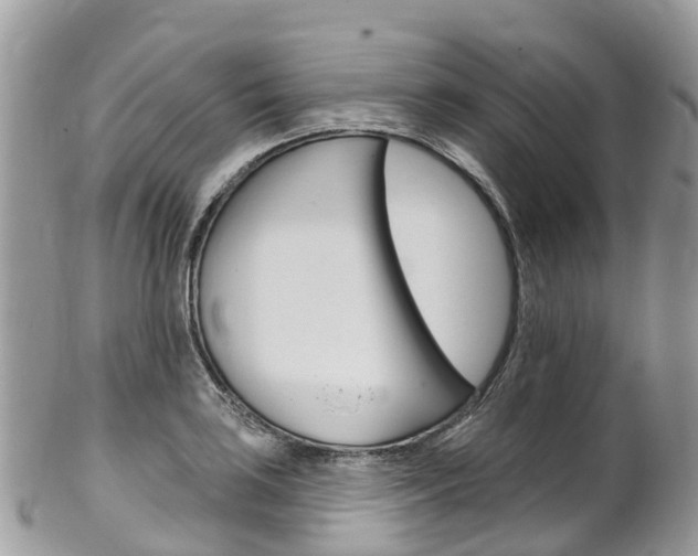 X0000102791035200808180949