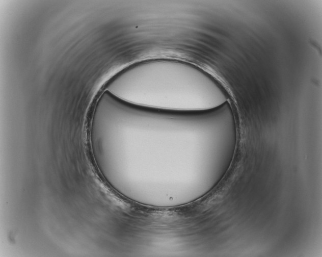 X0000102791037200808180949