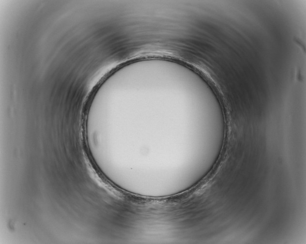 X0000102791038200808180949