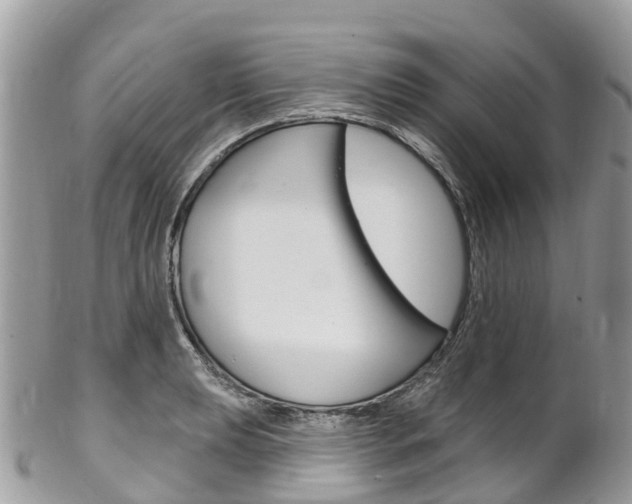 X0000102791039200808180949