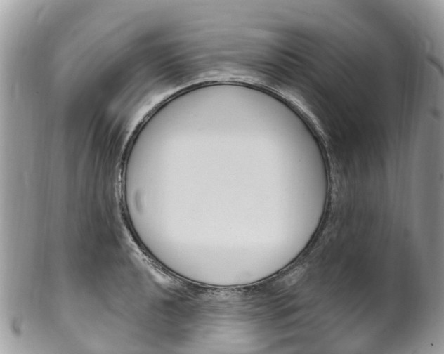 X0000102791040200808180949