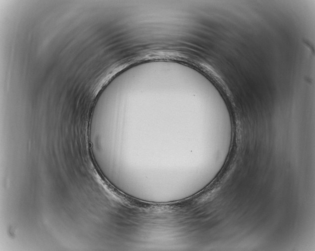 X0000102791041200808180949