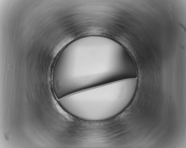 X0000102791042200808180949