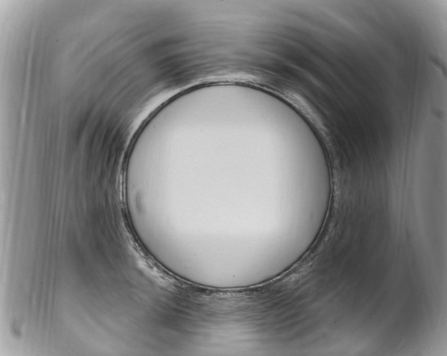 X0000102791044200808180949