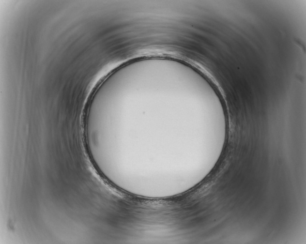 X0000102791045200808180949