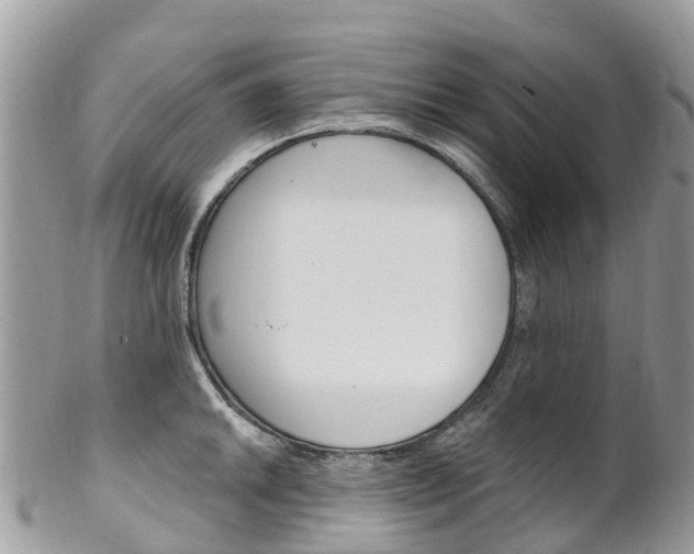 X0000102791046200808180949