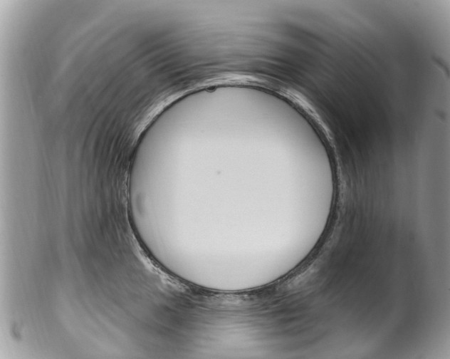 X0000102791049200808180949