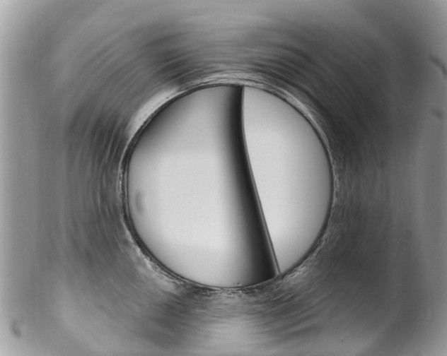 X0000102791050200808180949