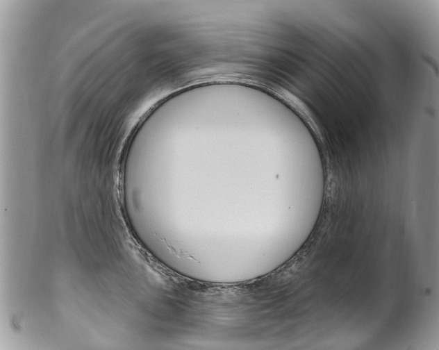 X0000102791051200808180949