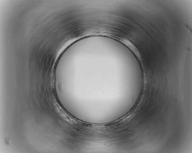 X0000102791052200808180949