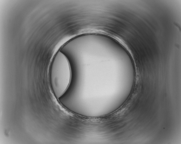 X0000102791053200808180949
