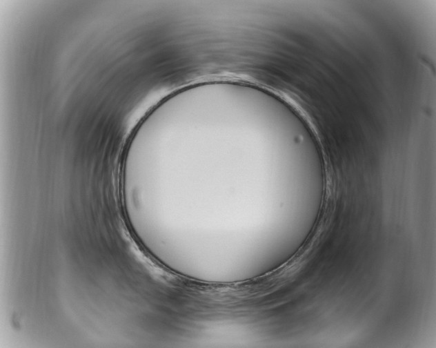 X0000102791054200808180949
