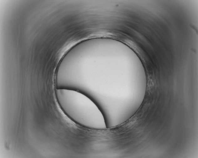 X0000102791055200808180949