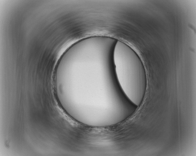 X0000102791056200808180949