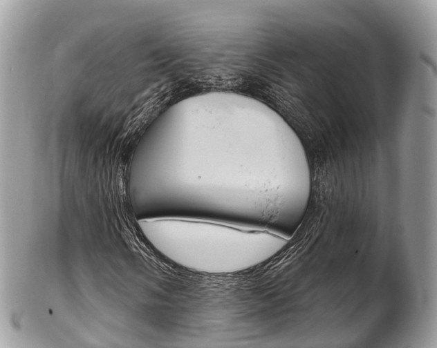X0000102791058200808180949