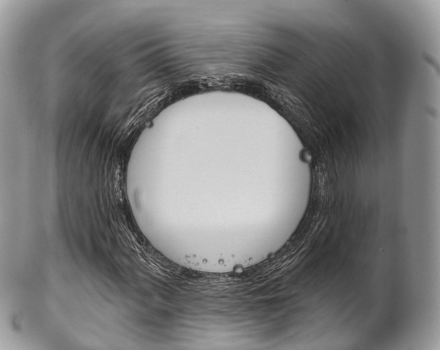 X0000102791060200808180949