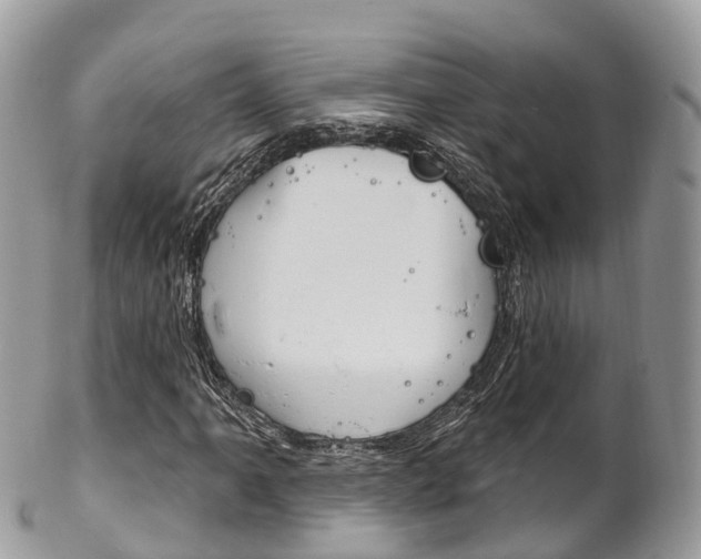X0000102791061200808180949