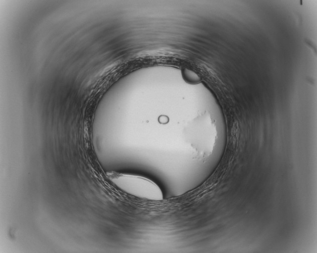 X0000102791062200808180949