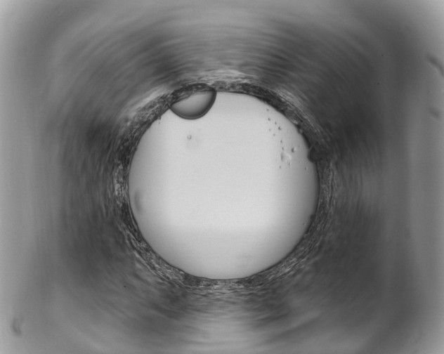 X0000102791063200808180949