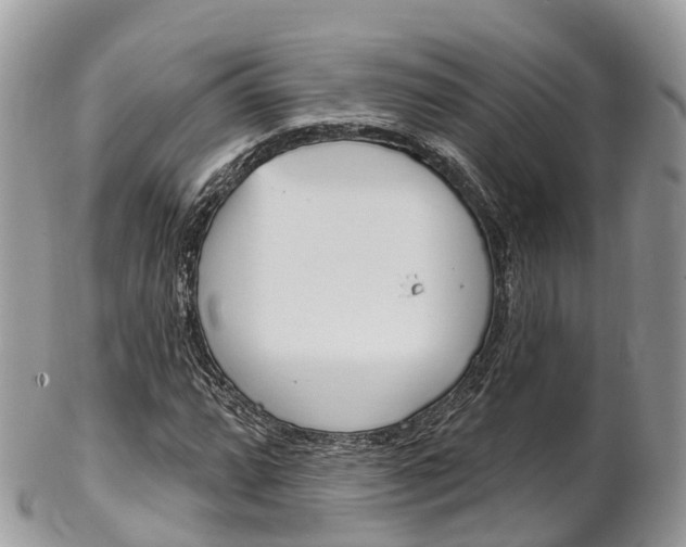 X0000102791064200808180949