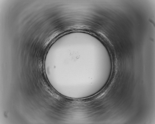 X0000102791065200808180949