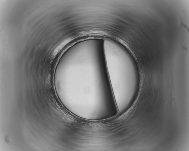 X0000102791066200808180949