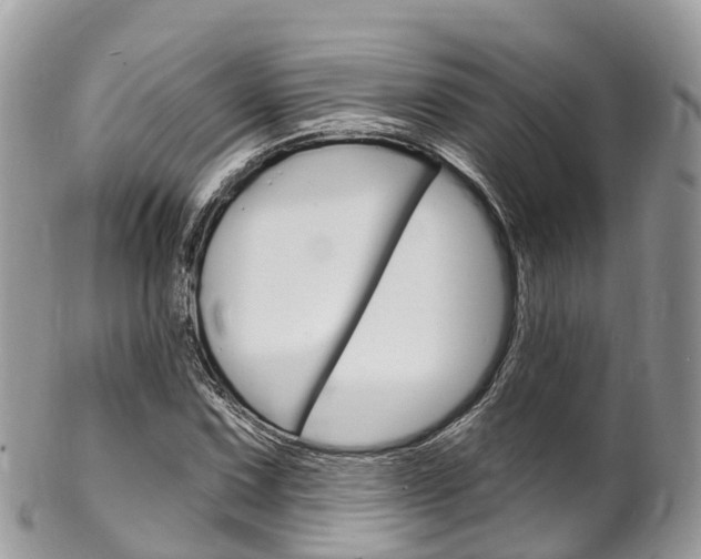 X0000102791067200808180948