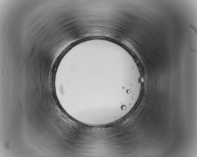 X0000102791068200808180948