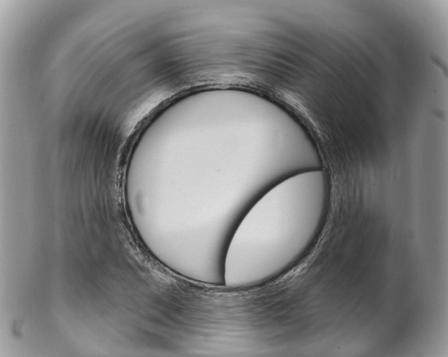 X0000102791071200808180948