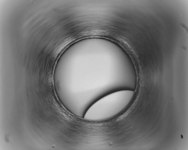 X0000102791073200808180948