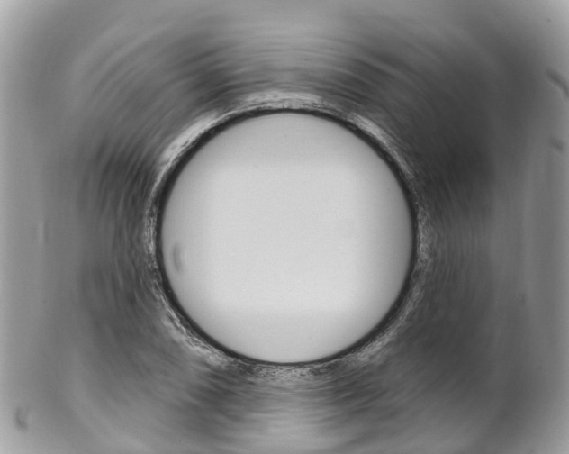 X0000102791074200808180948