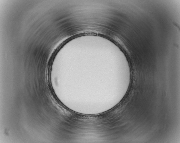 X0000102791076200808180948