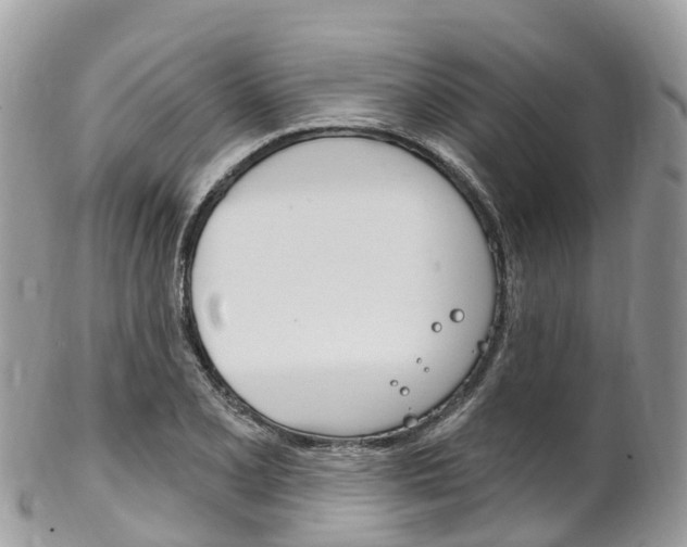 X0000102791077200808180948