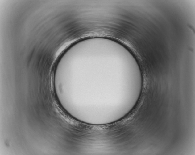 X0000102791078200808180948