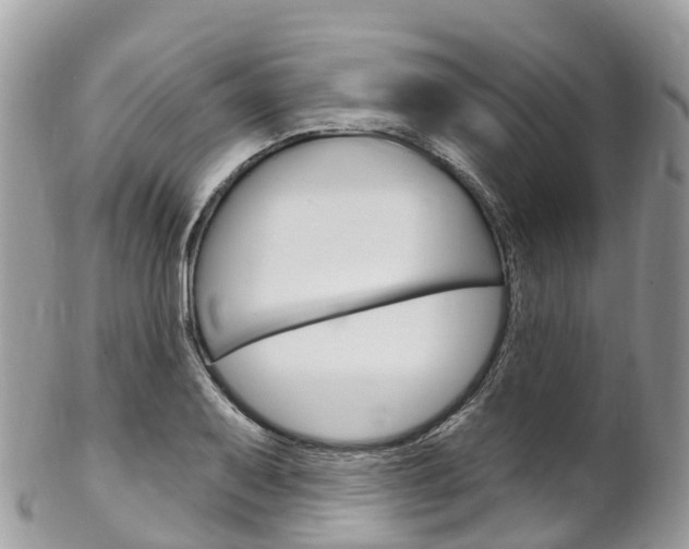 X0000102791079200808180948