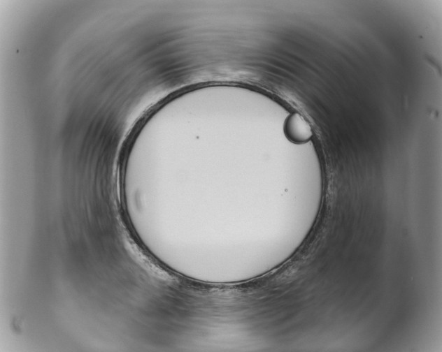 X0000102791080200808180948