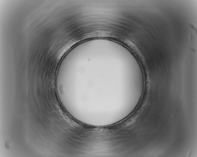X0000102791081200808180948