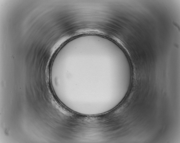 X0000102791082200808180948