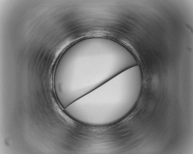 X0000102791083200808180948