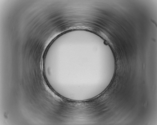 X0000102791084200808180948