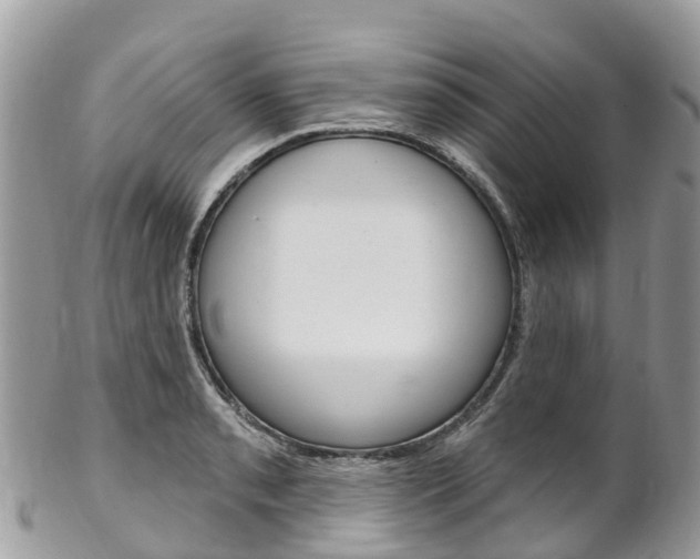 X0000102791085200808180948