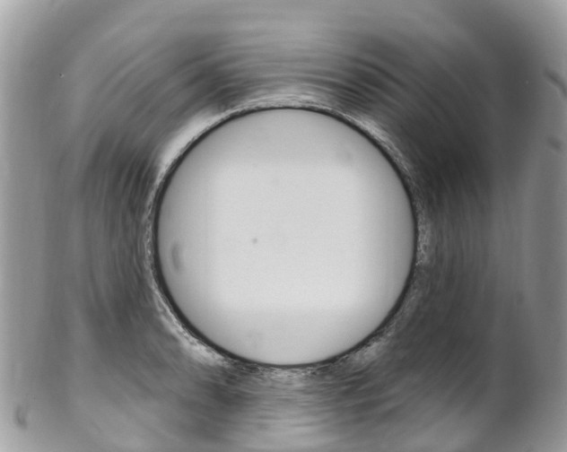 X0000102791086200808180948